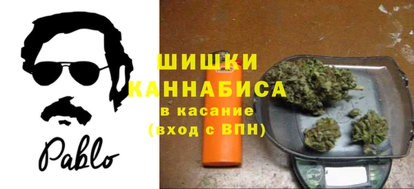 крисы Куйбышев