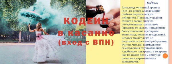 хмурый Лагань