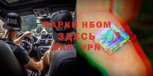 прущие грибы Мурманск