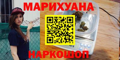 дмт Гай