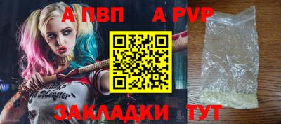 дмт Гай