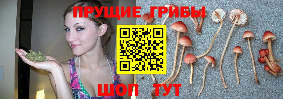Калининград  Галлюциногенные грибы Magic Shrooms  Вход с VPN 