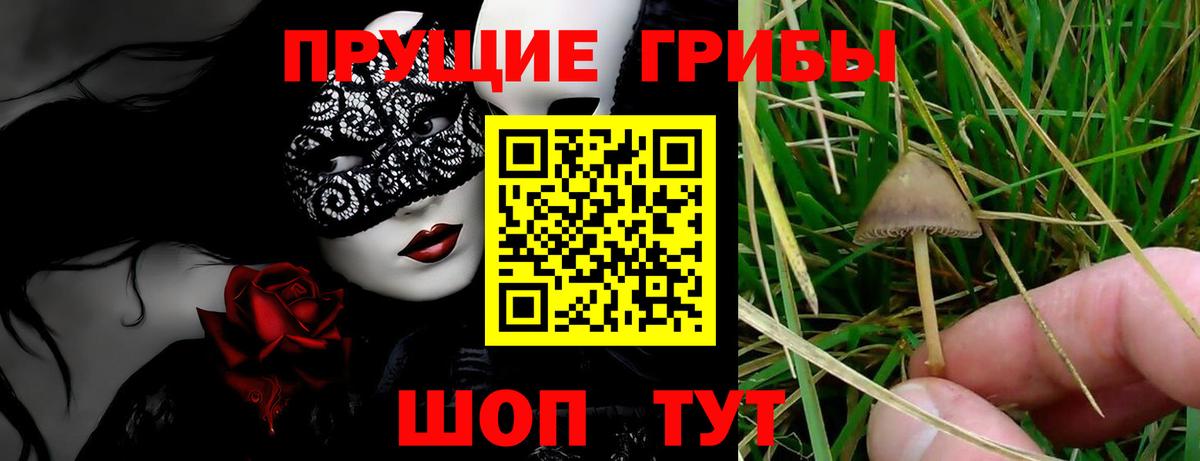 Калининград  Гашиш  COCAIN  НБОМе  Конопля  Вход с VPN  Мефедрон  
